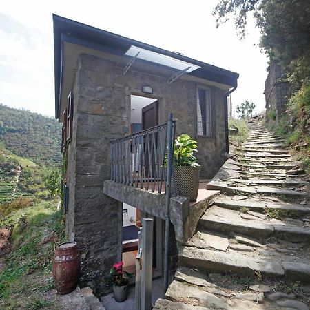 Fiesse Cottage Manarola Ngoại thất bức ảnh