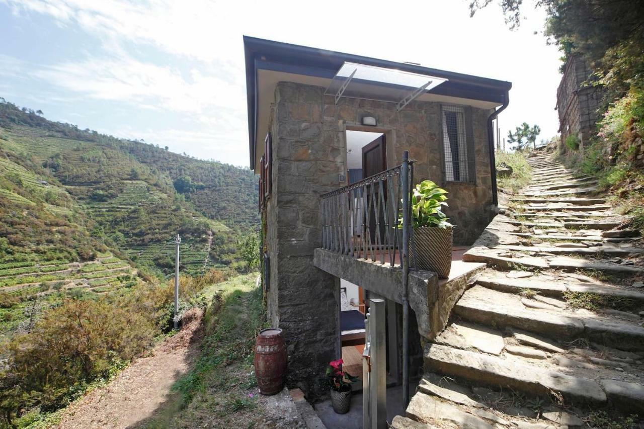 Fiesse Cottage Manarola Ngoại thất bức ảnh